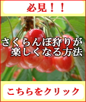 必見